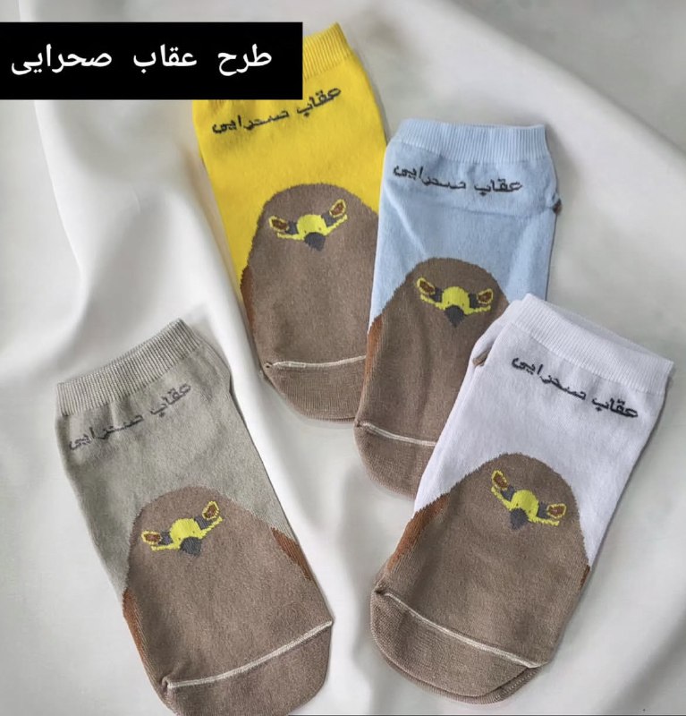 همین حالا جوراب‌ عقاب طلایی‌ت رو …