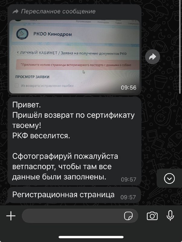 Серьезно?…..