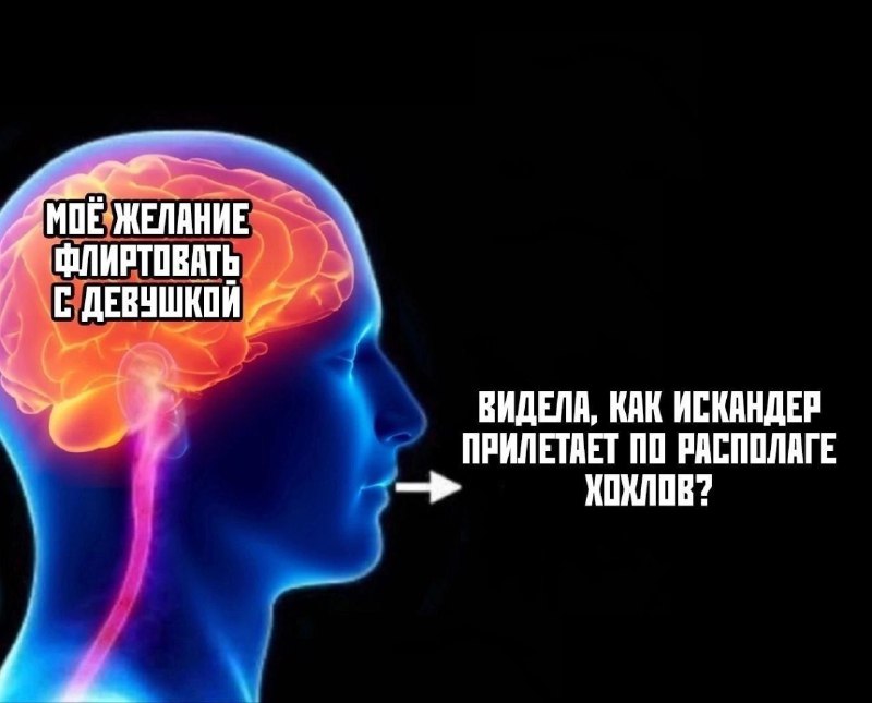 [#болевая\_бэ](?q=%23%D0%B1%D0%BE%D0%BB%D0%B5%D0%B2%D0%B0%D1%8F_%D0%B1%D1%8D) [#творческая\_бл](?q=%23%D1%82%D0%B2%D0%BE%D1%80%D1%87%D0%B5%D1%81%D0%BA%D0%B0%D1%8F_%D0%B1%D0%BB) [#базовая\_чс](?q=%23%D0%B1%D0%B0%D0%B7%D0%BE%D0%B2%D0%B0%D1%8F_%D1%87%D1%81) [#активационная\_чэ](?q=%23%D0%B0%D0%BA%D1%82%D0%B8%D0%B2%D0%B0%D1%86%D0%B8%D0%BE%D0%BD%D0%BD%D0%B0%D1%8F_%D1%87%D1%8D) [#слэ](?q=%23%D1%81%D0%BB%D1%8D)