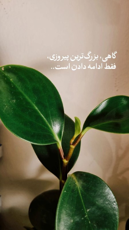 فقط ادامه بده عزیز..
