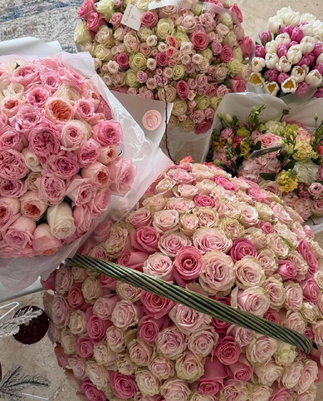 زهور الرقّة💜