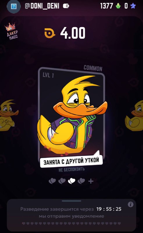 ***🦆*** **Утки, яйца и токены: новый …