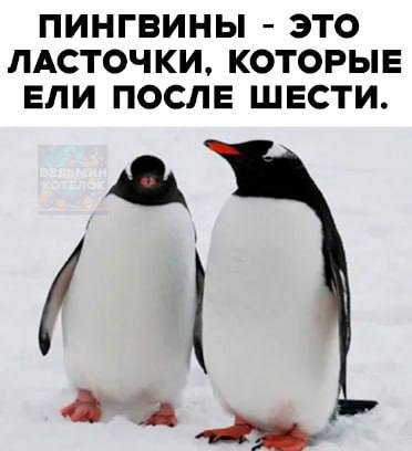 [#мем](?q=%23%D0%BC%D0%B5%D0%BC) от подписчика