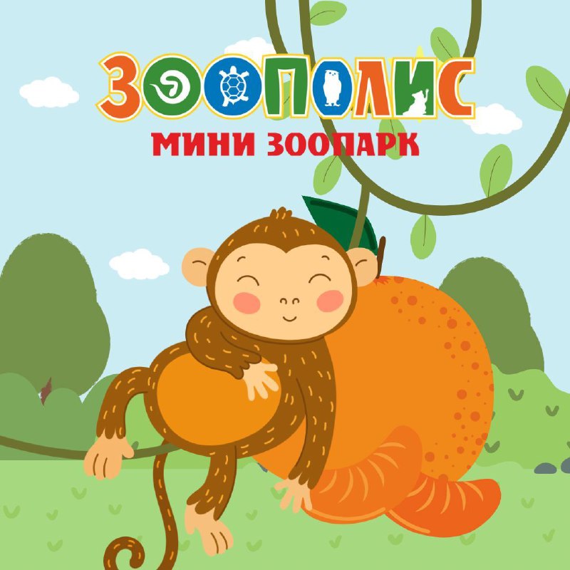 Теперь мы и в Мандарине! ***🍊***