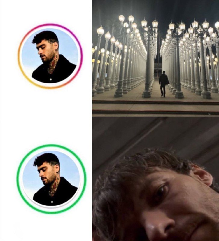Zouis malikson