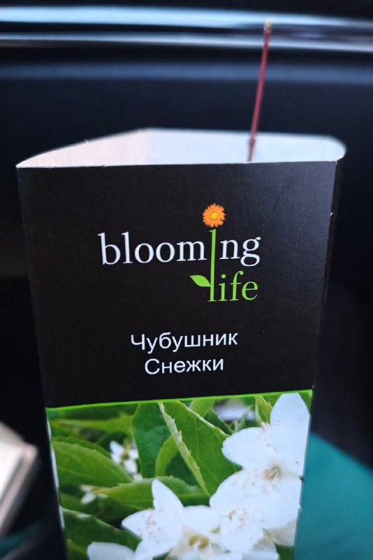 Девочка хочет 101 розу, женщина - …