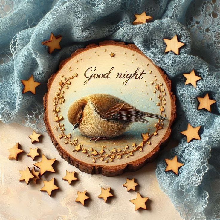 **«شب بخیر»