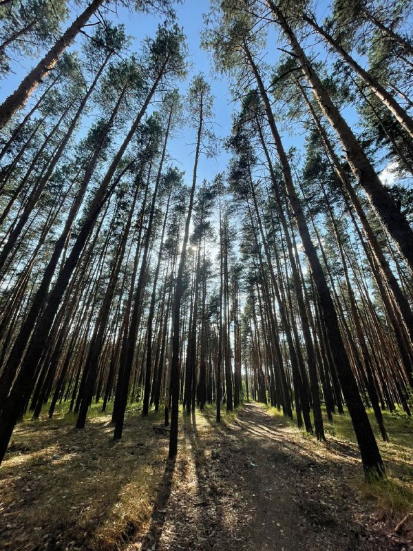 ***🍃***Друзья, время отдыхать. Желаем вам в …