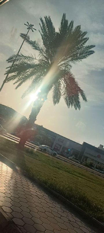 اللهم إني أسألك أن أكون كالنسمة..