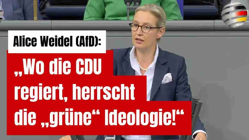 **Alice Weidel (AfD): „Wo die CDU …