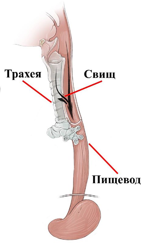 ***🏥*** В НМИЦ здоровья детей Минздрава …