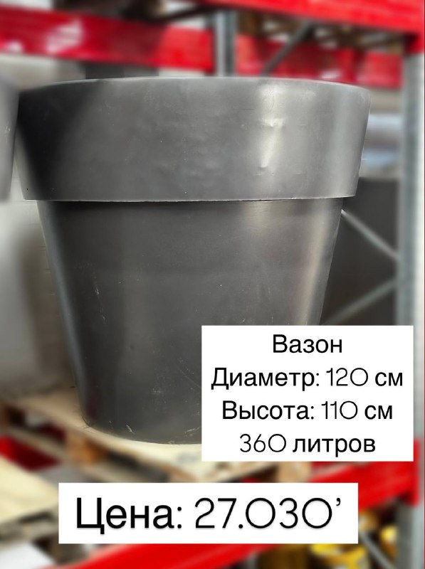 Цветы Юга