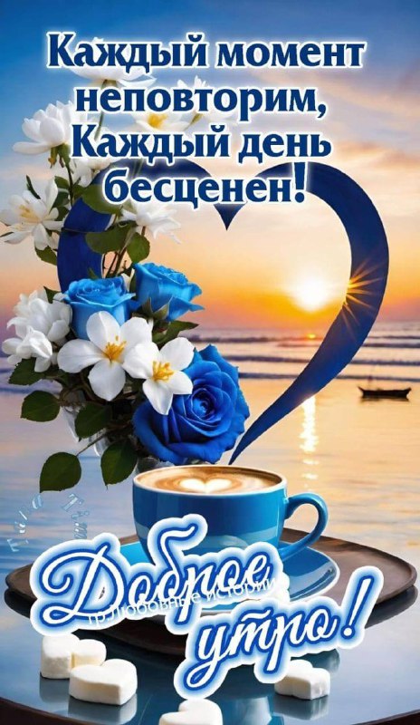 Зима Дорбиди 🤟