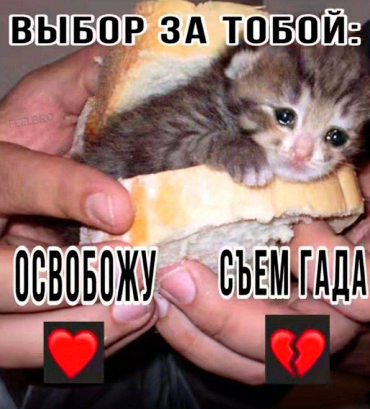 ***?*** - отправлю на сво нахуй