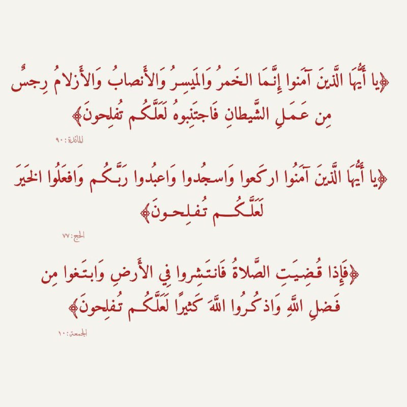 أرَيَــــحُ قًـلُبّكِ🤍