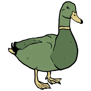 🦆