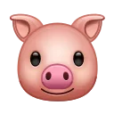 🐷