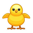 🐥