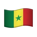 🇸🇳