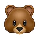 🐻