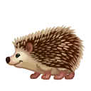 🦔