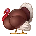 🦃