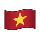 🇻🇳