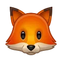 🦊