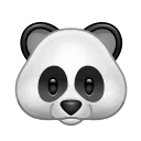 🐼