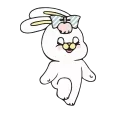 🐰