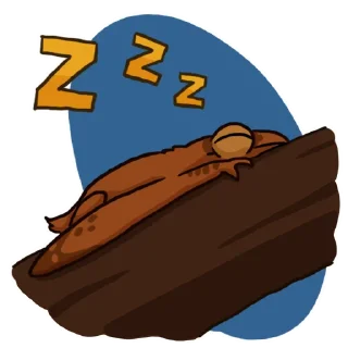 😴