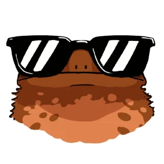 😎