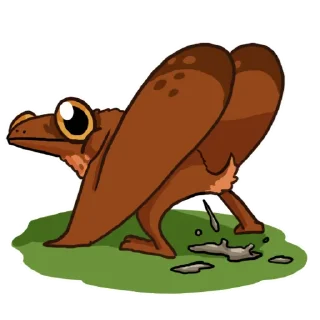 💩
