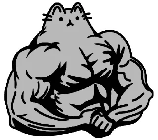 💪