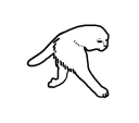 🏃