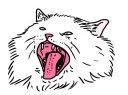 👅