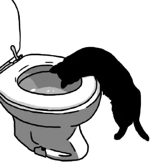 💩