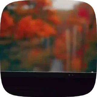 🍁