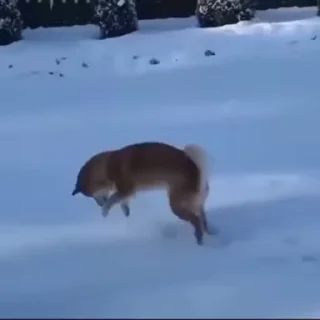 🤨