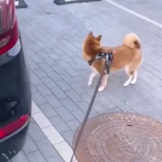 😫