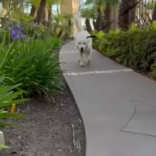 😛