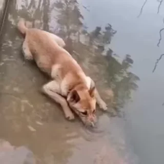 😆