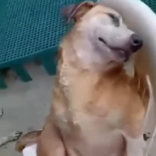 😋