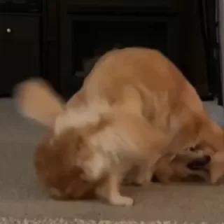 😆
