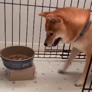 😉