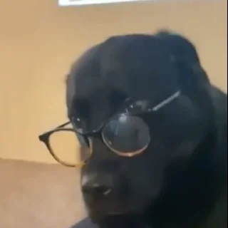 🤓