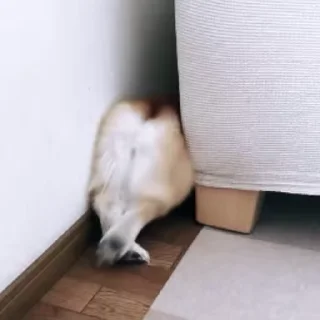 😂