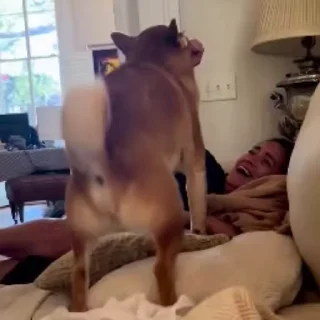 😕