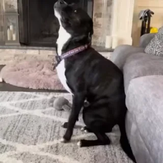 🤭