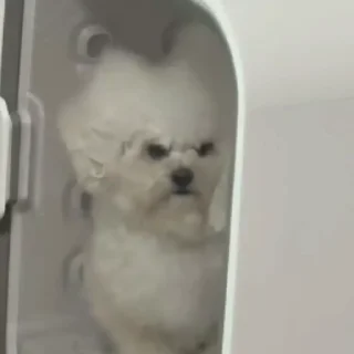 🤨